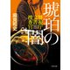 琥珀の闇 警視庁文書捜査官（KADOKAWA） [電子書籍]