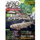 渓流釣りのすべて vol.5（コスミック出版） [電子書籍]