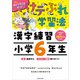 けテぶれ学習法 漢字練習 小学6年生（KADOKAWA） [電子書籍]