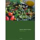 野草がハーブやスパイスに変わるとき（山と溪谷社） [電子書籍]