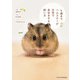 4歳までハムスターが元気で長生きする飼い方（エクスナレッジ） [電子書籍]