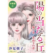 陽の当たる丘 第1章 芙由子の章 分冊版3（秋水社ORIGINAL） [電子書籍]