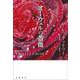 オーウェルの薔薇（岩波書店） [電子書籍]