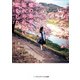 嘘の世界で、忘れられない恋をした（KADOKAWA） [電子書籍]