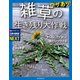 ワザあり！ 雑草の生き残り大作戦（誠文堂新光社） [電子書籍]