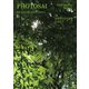 ふぉとさい Vol.40（アートツリー出版社） [電子書籍]