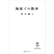 地底での散歩（講談社） [電子書籍]