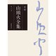 新編 山頭火全集 2巻（春陽堂書店） [電子書籍]