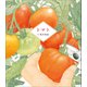 トマト（小学館） [電子書籍]