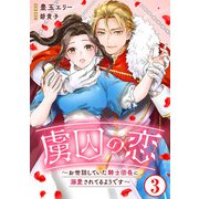 虜囚の恋～お世話していた騎士団長に溺愛されてるようです～3（秋水社ORIGINAL） [電子書籍]