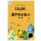 カラープラス 瀬戸内の島々 尾道 倉敷'23（昭文社） [電子書籍]