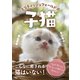 スコティッシュフォールドの子猫（アシオナcomic） [電子書籍]