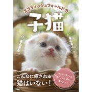 スコティッシュフォールドの子猫（アシオナcomic） [電子書籍]