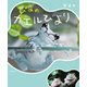 ぴよのカエルびより（KADOKAWA） [電子書籍]