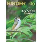 BIRDER（バーダー） 2023年6月号（文一総合出版） [電子書籍]