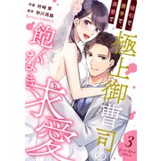 強引で、勝手で、溺愛で～極上御曹司の飽くなき求愛～3巻（スターツ出版） [電子書籍]