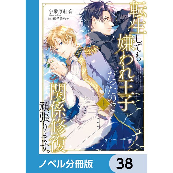 転生しても嫌われ王子だったので関係修復頑張ります。【ノベル分冊版】 38（KADOKAWA） [電子書籍]