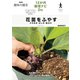 花苗をふやす タネまき・さし木・株分け（NHK出版） [電子書籍]