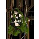CLAMP PREMIUM COLLECTION X （8）（KADOKAWA） [電子書籍]