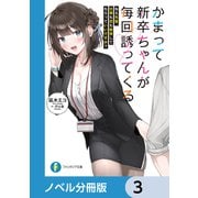 かまって新卒ちゃんが毎回誘ってくる【ノベル分冊版】 3（KADOKAWA） [電子書籍]