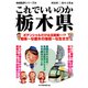 これでいいのか栃木県（マイクロマガジン社） [電子書籍]