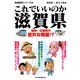 これでいいのか滋賀県（マイクロマガジン社） [電子書籍]