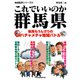 これでいいのか群馬県（マイクロマガジン社） [電子書籍]