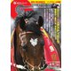 週刊Gallop（ギャロップ） 2023年6月11日号（サンケイスポーツ） [電子書籍]