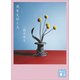 光をえがく人（講談社） [電子書籍]