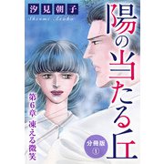 陽の当たる丘 第6章 凍える微笑 分冊版1（秋水社ORIGINAL） [電子書籍]
