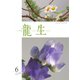 いけ花龍生 6月号（龍生華道会） [電子書籍]