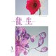いけ花龍生 3月号（龍生華道会） [電子書籍]