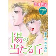 陽の当たる丘 第7章 春の迷宮 分冊版3（秋水社ORIGINAL） [電子書籍]