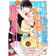 Berry's Fantasy クールな騎士団長に身請けされたけど、私は寵姫志願なんです！！（分冊版）12話（スターツ出版） [電子書籍]