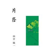 片蔭（VOYAGER（ボイジャー）） [電子書籍]