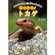 日本のいきものビジュアルガイド はっけん！ トカゲ（緑書房） [電子書籍]