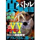 真・バトル奥義VIII（三才ブックス） [電子書籍]