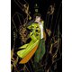CLAMP PREMIUM COLLECTION X （10）（KADOKAWA） [電子書籍]