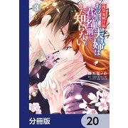 浅草鬼嫁日記　あやかし夫婦は君の名前をまだ知らない。【分冊版】　20（KADOKAWA） [電子書籍]