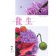 いけ花龍生 7月号（龍生華道会） [電子書籍]