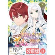 やり直し転生令嬢はざまぁしたいのに溺愛される【分冊版】 （ラワーレコミックス）11（一二三書房） [電子書籍]