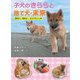 子犬のきららと捨て犬・未来-まあるい、まあるい、ふたつのシッポ（岩崎書店） [電子書籍]