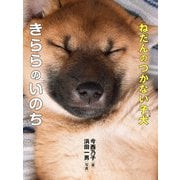 ねだんのつかない子犬・きららのいのち（岩崎書店） [電子書籍]