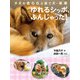 子犬のきららと捨て犬・未来 ゆれるシッポ、ふんじゃった！（岩崎書店） [電子書籍]
