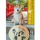 東日本大震災・犬たちが避難した学校 捨て犬・未来 命のメッセージ（岩崎書店） [電子書籍]