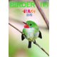 BIRDER（バーダー） 2023年8月号（文一総合出版） [電子書籍]
