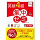 DAILY2週間 英検4級 集中ゼミ 5訂版（音声DL付）（旺文社） [電子書籍]