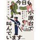 今日も小原台で叫んでいます 残されたジャングル、防衛大学校（KADOKAWA） [電子書籍]