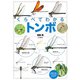 くらべてわかる トンボ（山と溪谷社） [電子書籍]