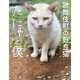 歌舞伎町の野良猫「たにゃ」と僕（扶桑社） [電子書籍]